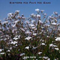 Quietly Soaring – Sisters No Pain No Gain