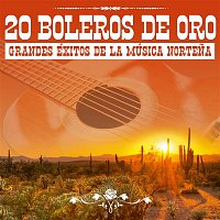 Los Relampagos del Norte, Pedro Yerena & Cornelio Reyna – 20 Boleros de Oro: Grandes Éxitos de la Música Nortena