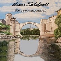 Přední strana obalu CD Evo srcu mome radosti