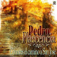 Přední strana obalu CD Conoces El Camino A San José