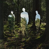 Johannes Brecht Trio – Disparaitre