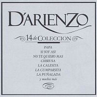 Juan D'Arienzo – 14 De Colección