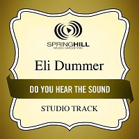 Eli Dummer – Do You Hear The Sound
