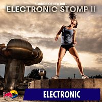 Přední strana obalu CD Electronic Stomp II