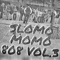 Stylerwack – Slomomomo808, Vol. 3