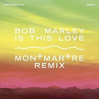 Bob Marley – Is This Love [Montmartre Remix]