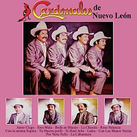 Cardenales De Nuevo León – Amor Ciego