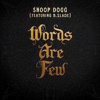Snoop Dogg, B.Slade – Words Are Few (feat. B Slade)