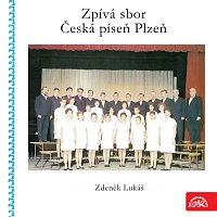 Zpívá sbor Česká píseň Plzeň