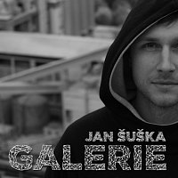 Jan Šuška – Galerie