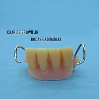 Charlie Brown Jr. – Bocas Ordinárias