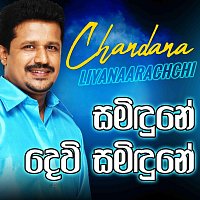 Přední strana obalu CD Samindune Devi Samindune