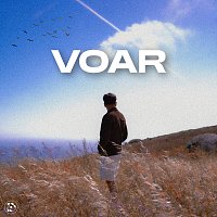 Codie – VOAR