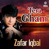 Zafar Iqbal – Tera Gham