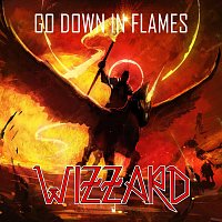 Go Down in Flames (Live)