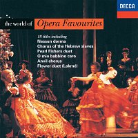Různí interpreti – The World of Opera Favourites
