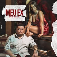 Gabily, DJ 2F – Meu Ex