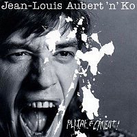 Jean-Louis Aubert – platre et ciment