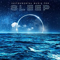 Různí interpreti – Instrumental Music for Sleep