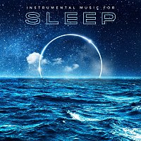 Různí interpreti – Instrumental Music for Sleep