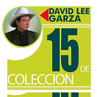 David Lee Garza – 15 De Coleccion