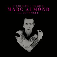 Přední strana obalu CD Hits And Pieces – The Best Of Marc Almond & Soft Cell