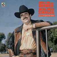 El Bronco de Sinaloa – El Bronco De Sinaloa