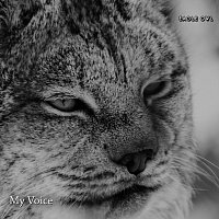 Přední strana obalu CD My Voice