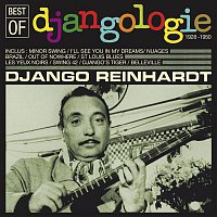 Django Reinhardt – Best of Djangologie