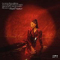 Přední strana obalu CD Dark Matter