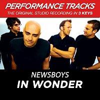 In Wonder (Performance Tracks) - EP