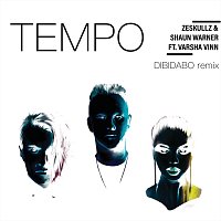 ZESKULLZ, Shaun Warner, Varsha Vinn – Tempo [DIBIDABO Remix]