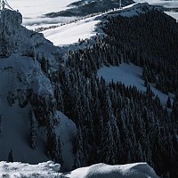 Přední strana obalu CD Darling Never Let Me Go