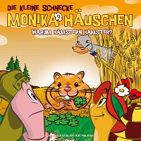 Die kleine Schnecke Monika Hauschen – 37: Warum hamstern Hamster?