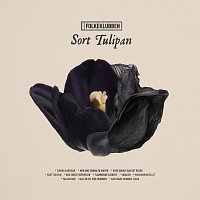 Folkeklubben – Sort Tulipan