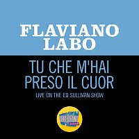 Flaviano Labó – Tu che m'hai preso il cuor [Live On The Ed Sullivan Show, February 15, 1959]
