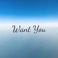 Přední strana obalu CD Want You