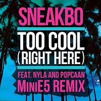 Too Cool (Right Here) [MiniE5 Remix]