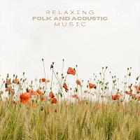 Různí interpreti – Relaxing Folk and Acoustic Music
