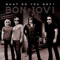 Bon Jovi – What Do You Got?