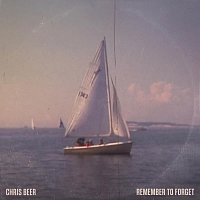 Přední strana obalu CD Remember to Forget