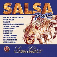 Různí interpreti – Línea Clásica Salsa Pura, Vol. 1