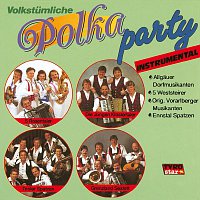 Přední strana obalu CD Volkstumliche Polka Party