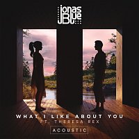 Jonas Blue, Theresa Rex – What I Like About You [Acoustic]