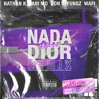 Nathan K, Don V, Fungz, Lani Mo, Wafi – Nada till Dior [Remix]