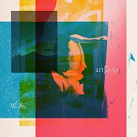 WONK – Migratory Bird