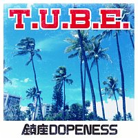 Chinza Dopeness – T.U.B.E.