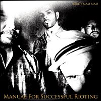 Birdy Nam Nam – Manual for successful rioting