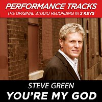 Steve Green – You're My God [Performance Tracks]