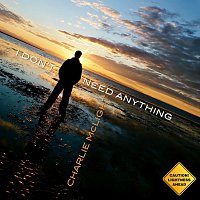 Přední strana obalu CD I Don't Need Anything